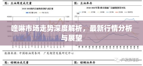 喹啉市場(chǎng)走勢(shì)深度解析，最新行情分析與展望
