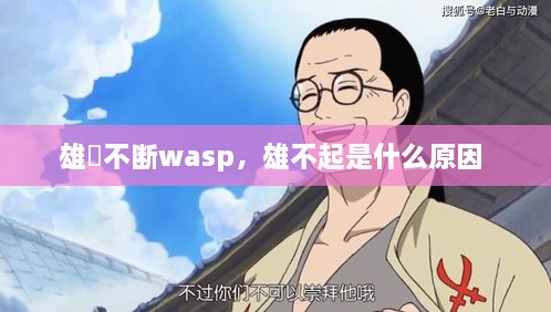 雄獣不斷wasp，雄不起是什么原因 