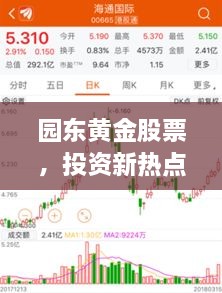 園東黃金股票，投資新熱點(diǎn)，財富新選擇
