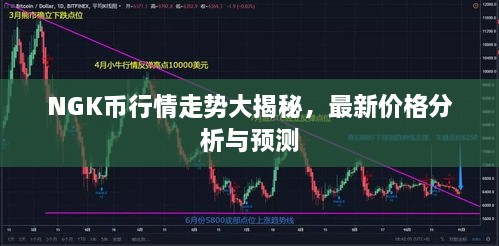 NGK幣行情走勢大揭秘，最新價格分析與預測