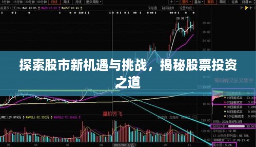 探索股市新機(jī)遇與挑戰(zhàn)，揭秘股票投資之道