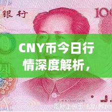 CNY幣今日行情深度解析，最新價(jià)格動(dòng)態(tài)一網(wǎng)打盡！