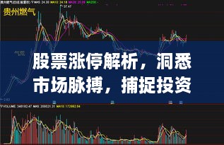 股票漲停解析，洞悉市場脈搏，捕捉投資黃金機會