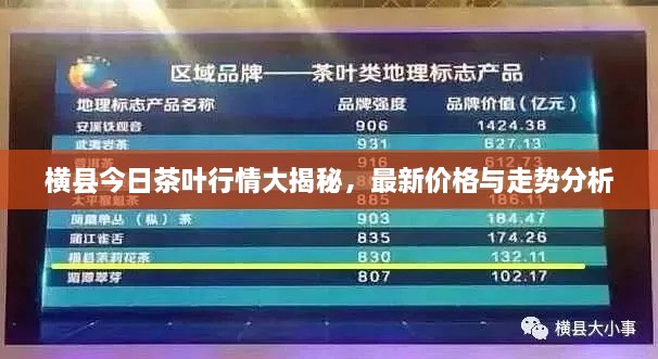 橫縣今日茶葉行情大揭秘，最新價(jià)格與走勢(shì)分析