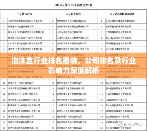 泡沫盒行業(yè)排名揭曉，公司排名及行業(yè)影響力深度解析
