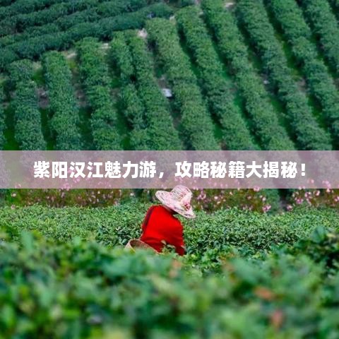 紫陽漢江魅力游，攻略秘籍大揭秘！