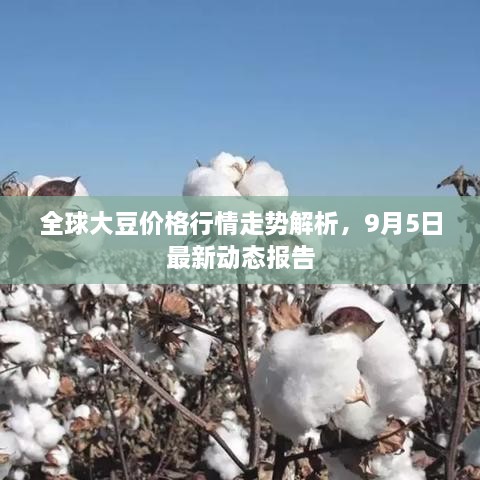 全球大豆價(jià)格行情走勢(shì)解析，9月5日最新動(dòng)態(tài)報(bào)告