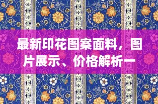 最新印花圖案面料，圖片展示、價格解析一網(wǎng)打盡