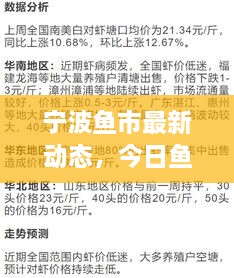 寧波魚市最新動態(tài)，今日魚價、市場走勢及影響因素全解析