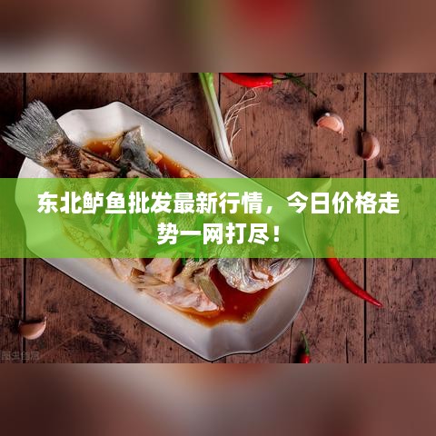 東北鱸魚批發(fā)最新行情，今日價格走勢一網(wǎng)打盡！
