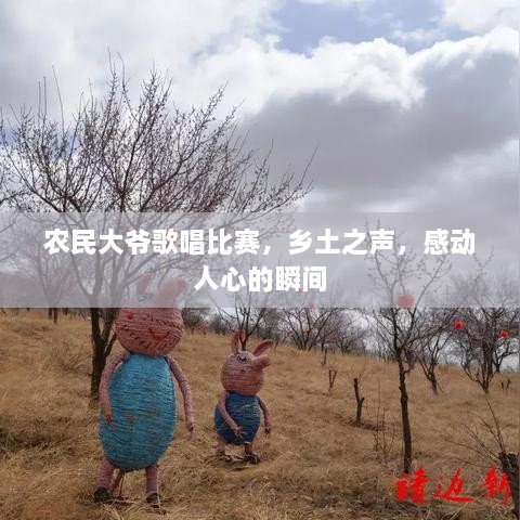 農(nóng)民大爺歌唱比賽，鄉(xiāng)土之聲，感動(dòng)人心的瞬間