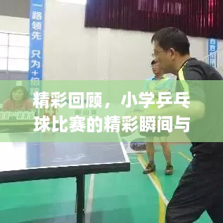 精彩回顧，小學(xué)乒乓球比賽的精彩瞬間與收獲總結(jié)