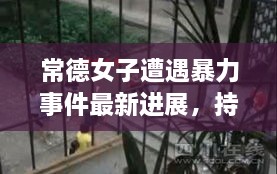 常德女子遭遇暴力事件最新進(jìn)展，持續(xù)關(guān)注被打女子最新消息