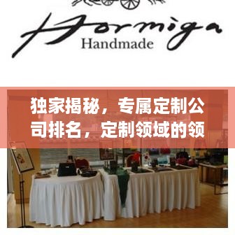 獨家揭秘，專屬定制公司排名，定制領域的領軍者