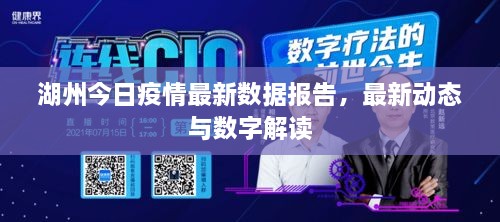 湖州今日疫情最新數(shù)據(jù)報(bào)告，最新動(dòng)態(tài)與數(shù)字解讀