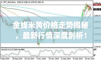 金線米黃價格走勢揭秘，最新行情深度剖析！