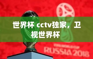 世界杯 cctv獨家，衛(wèi)視世界杯 
