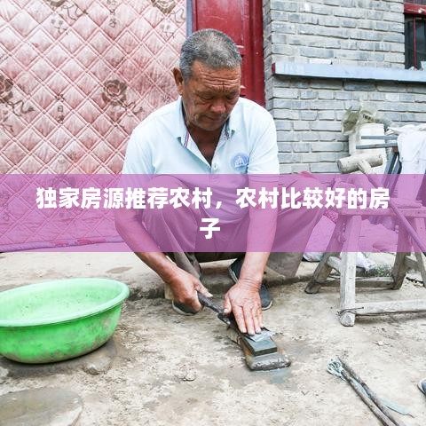 獨(dú)家房源推薦農(nóng)村，農(nóng)村比較好的房子 