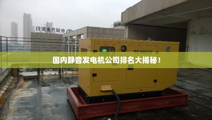 國內(nèi)靜音發(fā)電機(jī)公司排名大揭秘！