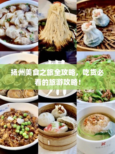 揚(yáng)州美食之旅全攻略，吃貨必看的旅游攻略！