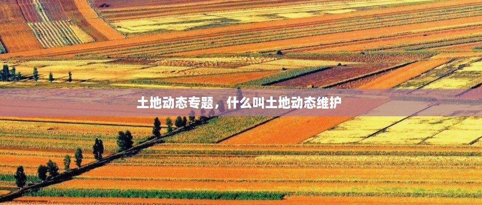 土地動(dòng)態(tài)專題，什么叫土地動(dòng)態(tài)維護(hù) 