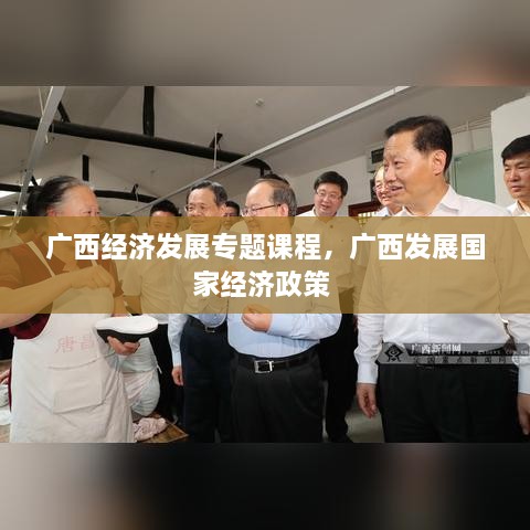 廣西經(jīng)濟(jì)發(fā)展專題課程，廣西發(fā)展國家經(jīng)濟(jì)政策 