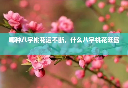 哪種八字桃花運(yùn)不斷，什么八字桃花旺盛 