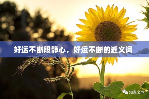 好運(yùn)不斷段靜心，好運(yùn)不斷的近義詞 