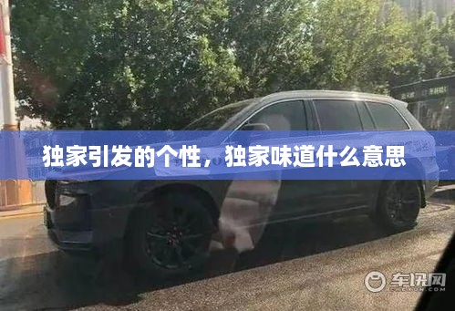 獨(dú)家引發(fā)的個性，獨(dú)家味道什么意思 