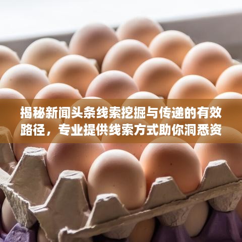 揭秘新聞?lì)^條線索挖掘與傳遞的有效路徑，專(zhuān)業(yè)提供線索方式助你洞悉資訊動(dòng)態(tài)