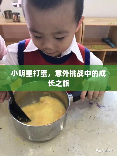 小明星打蛋，意外挑戰(zhàn)中的成長之旅