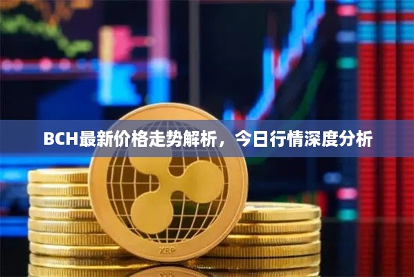 BCH最新價(jià)格走勢解析，今日行情深度分析