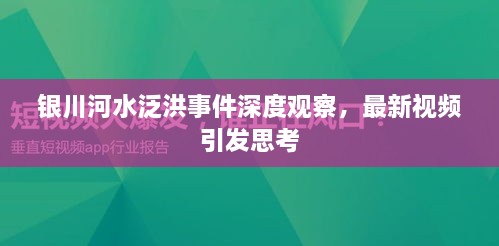 銀川河水泛洪事件深度觀察，最新視頻引發(fā)思考