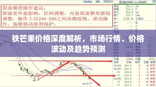 鐵芒果價格深度解析，市場行情、價格波動及趨勢預(yù)測