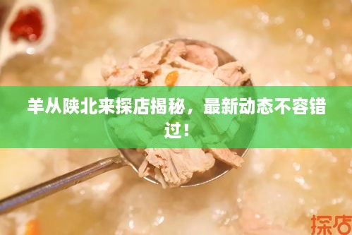 羊從陜北來探店揭秘，最新動態(tài)不容錯過！