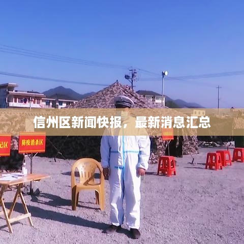 信州區(qū)新聞快報，最新消息匯總