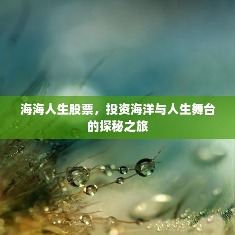 海海人生股票，投資海洋與人生舞臺(tái)的探秘之旅