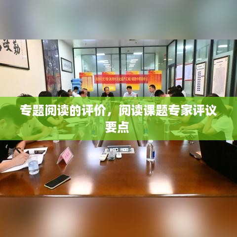 專題閱讀的評價，閱讀課題專家評議要點 