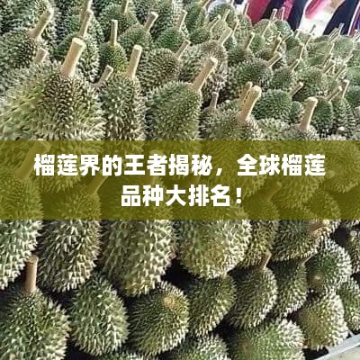 榴蓮界的王者揭秘，全球榴蓮品種大排名！