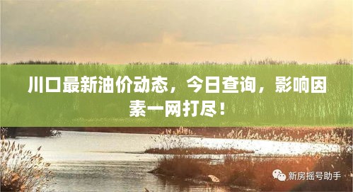 川口最新油價動態(tài)，今日查詢，影響因素一網打盡！