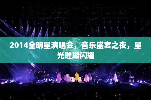 2014全明星演唱會(huì)，音樂盛宴之夜，星光璀璨閃耀
