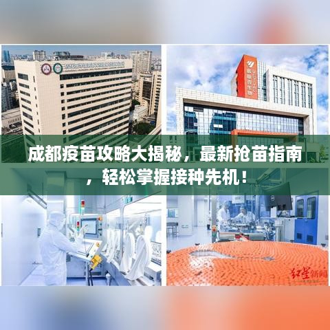 成都疫苗攻略大揭秘，最新?lián)屆缰改?，輕松掌握接種先機(jī)！