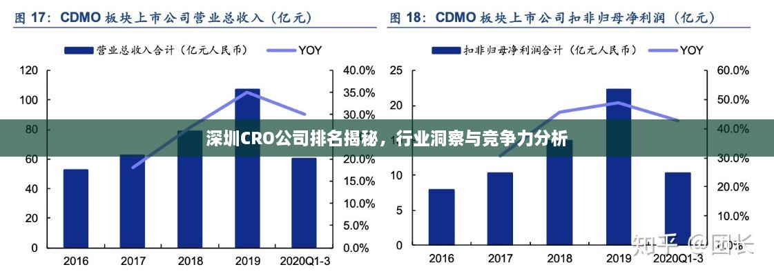 深圳CRO公司排名揭秘，行業(yè)洞察與競(jìng)爭(zhēng)力分析