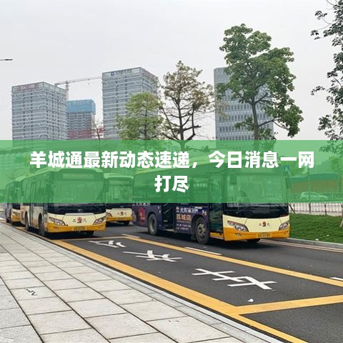 羊城通最新動態(tài)速遞，今日消息一網(wǎng)打盡