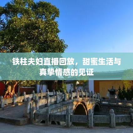 鐵柱夫婦直播回放，甜蜜生活與真摯情感的見證