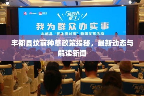 豐都縣墳前種草政策揭秘，最新動(dòng)態(tài)與解讀新聞