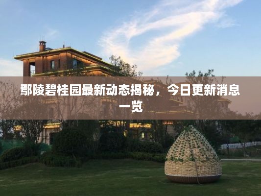 鄢陵碧桂園最新動(dòng)態(tài)揭秘，今日更新消息一覽