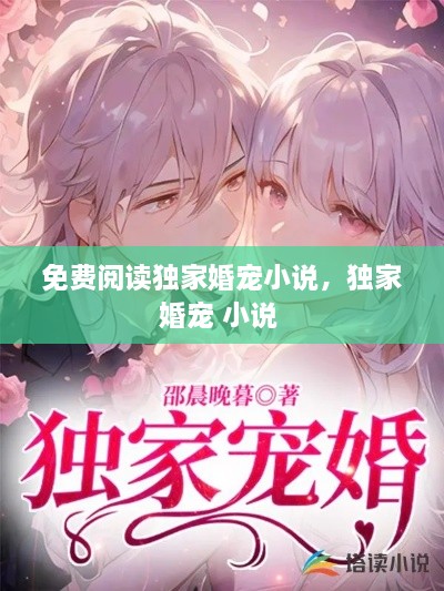 免費閱讀獨家婚寵小說，獨家婚寵 小說 