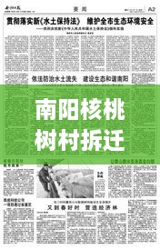 南陽(yáng)核桃樹村拆遷重磅更新，最新動(dòng)態(tài)揭秘！
