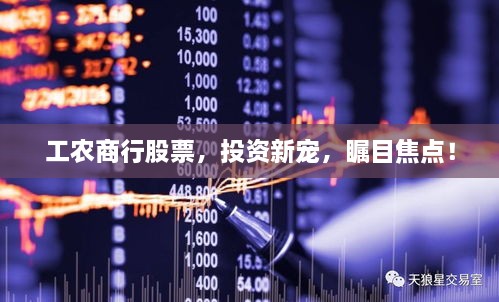 工農(nóng)商行股票，投資新寵，矚目焦點(diǎn)！